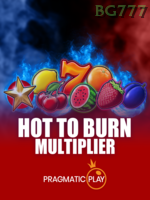 Hot To Burn game cover